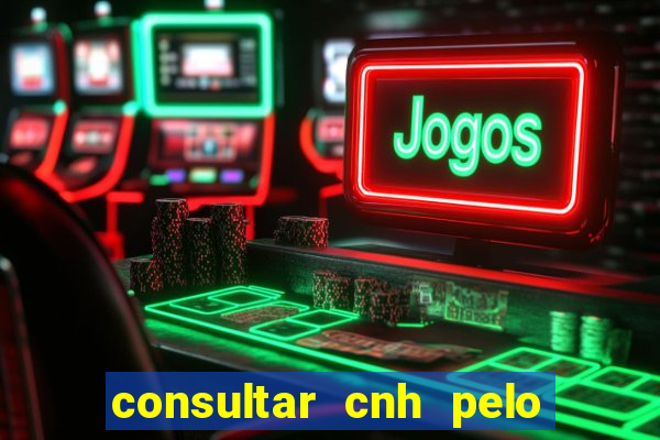 consultar cnh pelo cpf sp